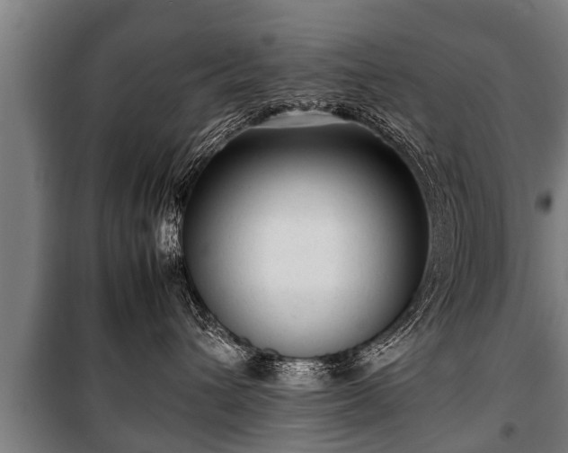 X0000100190432200806061303