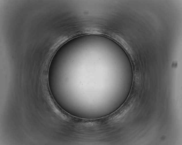 X0000100190433200806061302