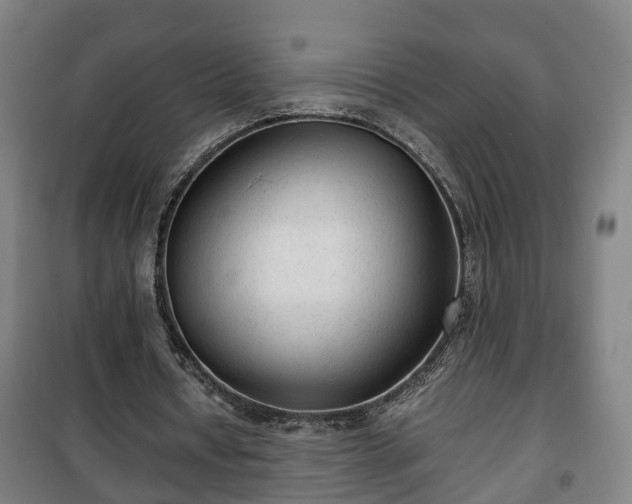 X0000100190434200806061302