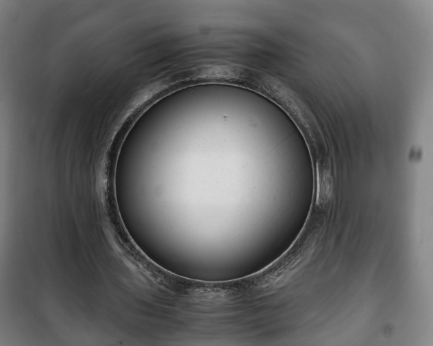 X0000100190435200806061302