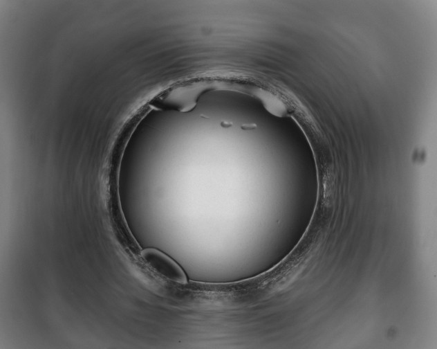 X0000100190436200806061302