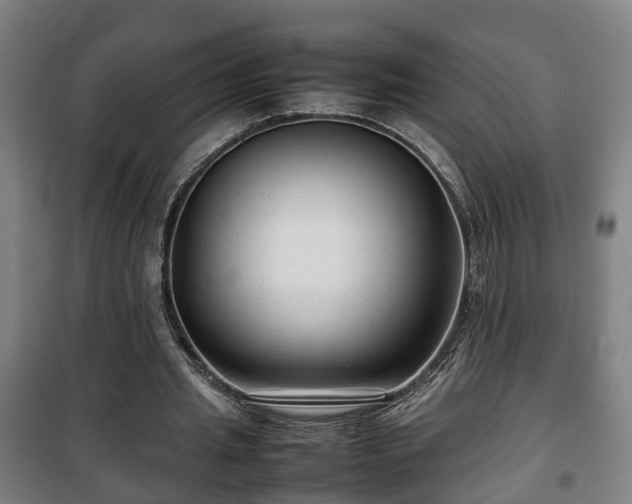 X0000100190437200806061302