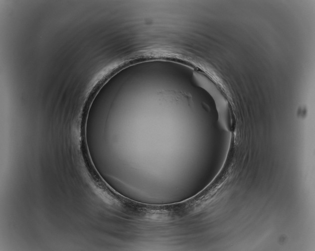 X0000100190438200806061302