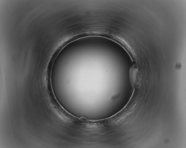 X0000100190439200806061302