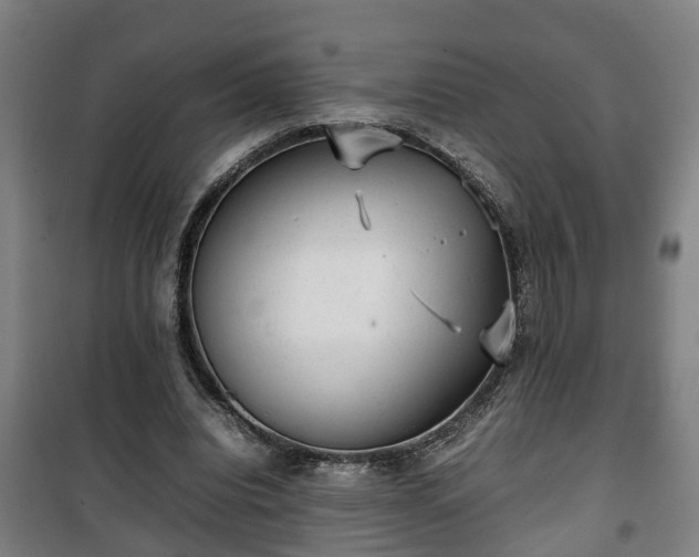 X0000100190440200806061302