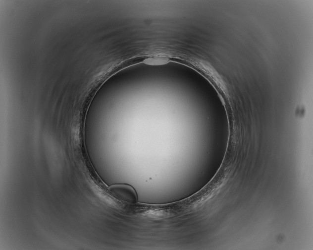 X0000100190441200806061302