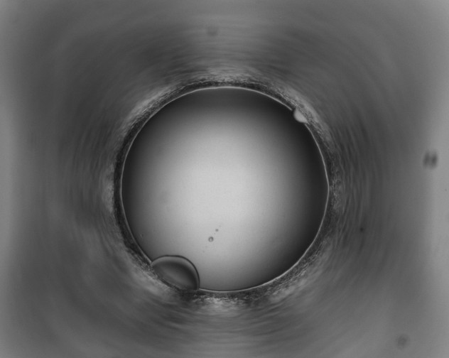 X0000100190442200806061302