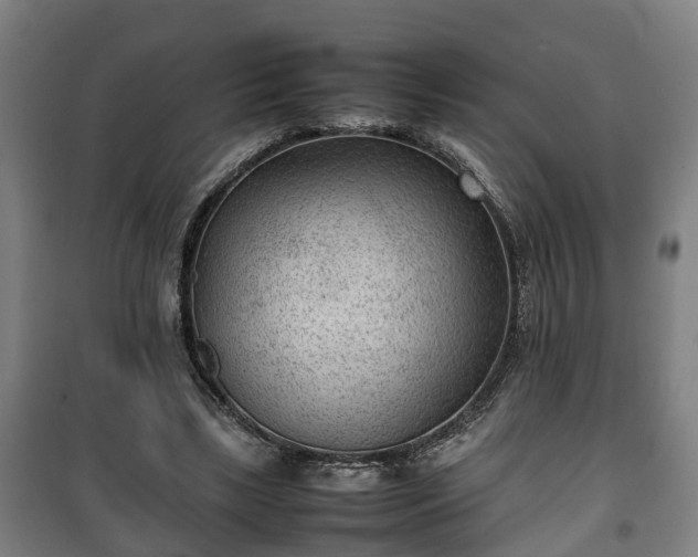 X0000100190443200806061302