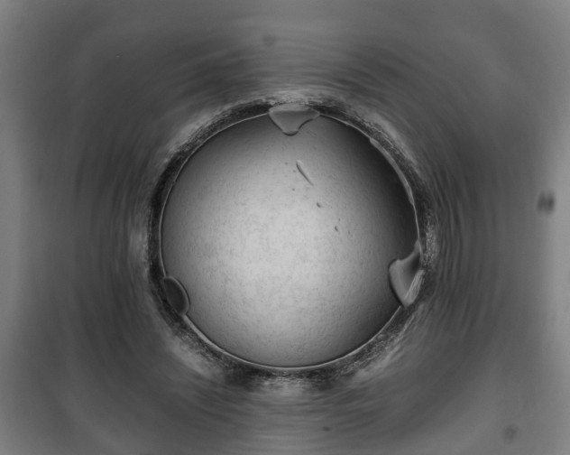 X0000100190444200806061302