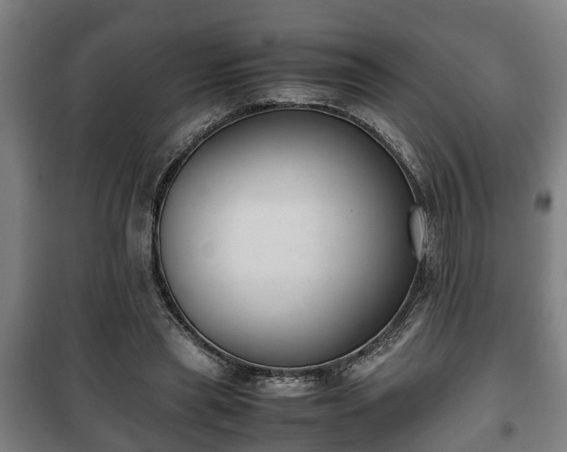 X0000100190445200806061302