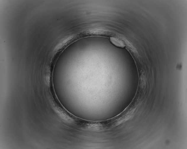 X0000100190446200806061302