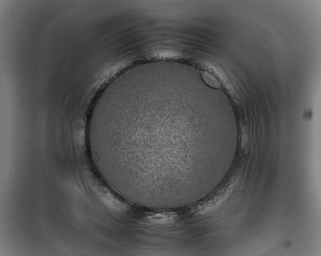 X0000100190447200806061302