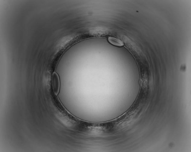 X0000100190448200806061302