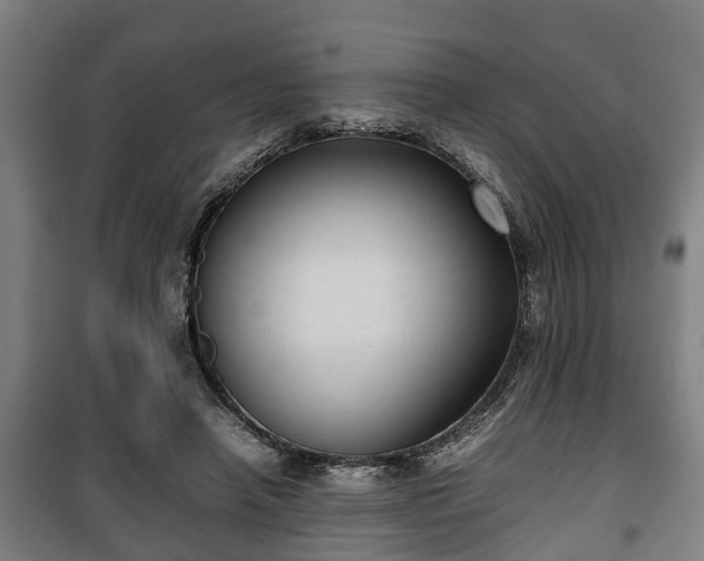 X0000100190450200806061302