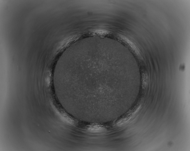 X0000100190451200806061302