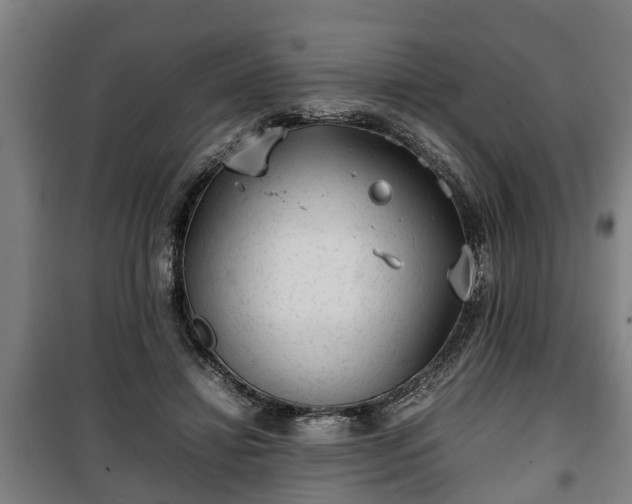 X0000100190452200806061302