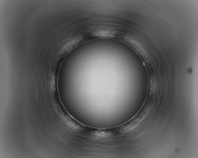 X0000100190453200806061302