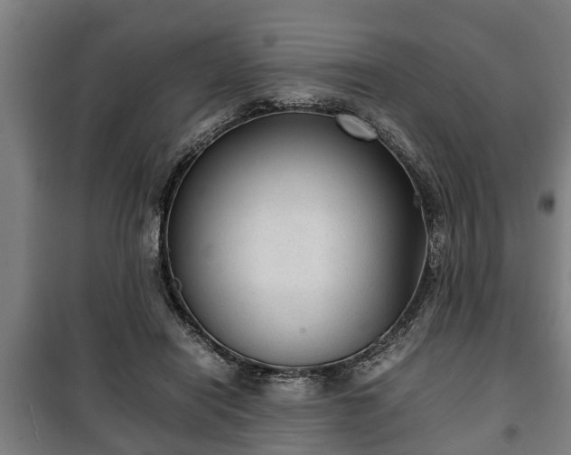 X0000100190454200806061302