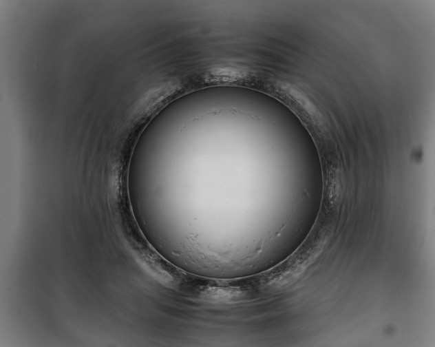 X0000100190455200806061302