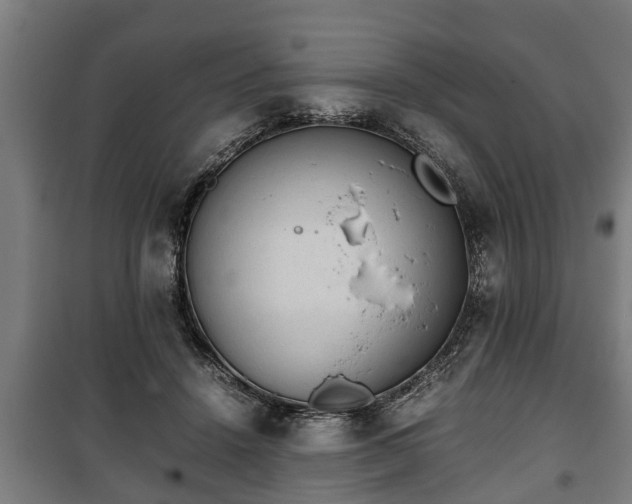 X0000100190456200806061302