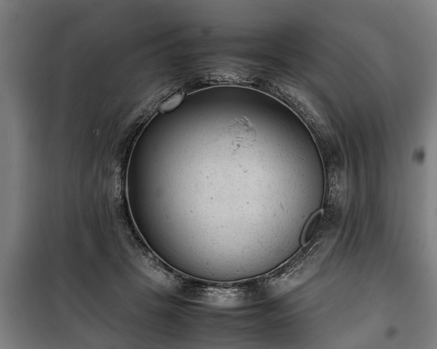 X0000100190457200806061302