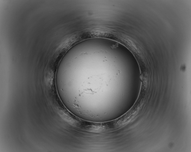 X0000100190458200806061302