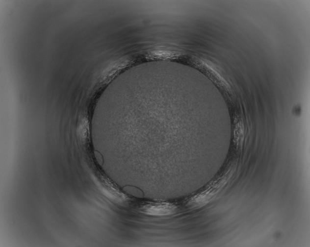 X0000100190459200806061303