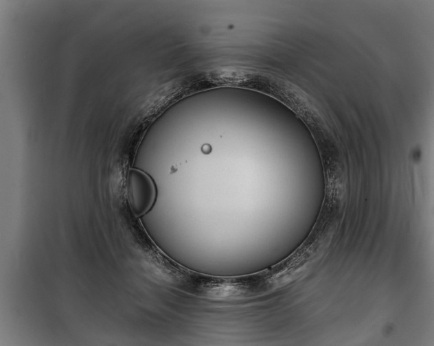 X0000100190460200806061303