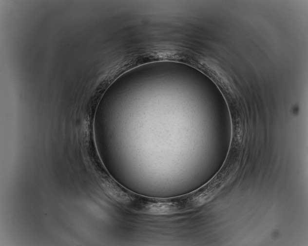 X0000100190461200806061303