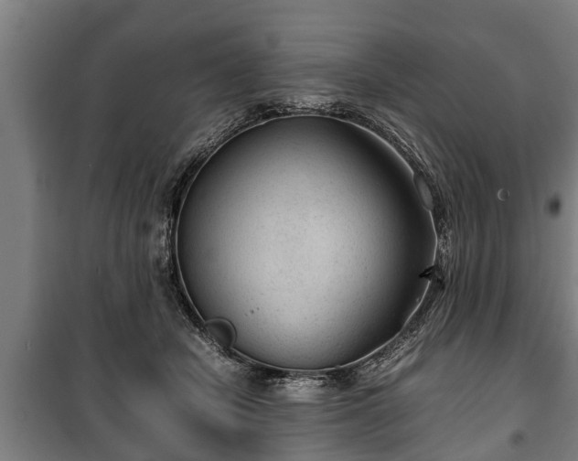 X0000100190462200806061303