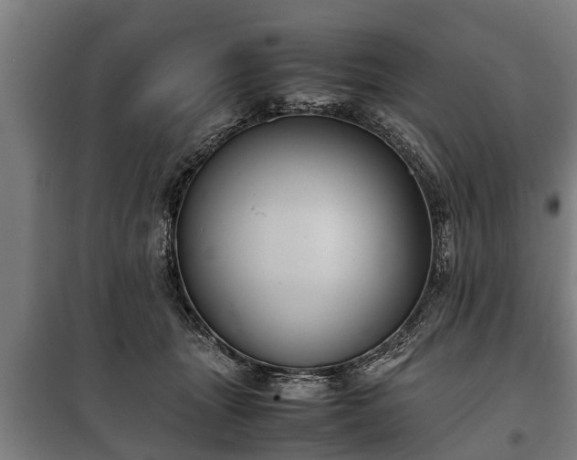 X0000100190463200806061303