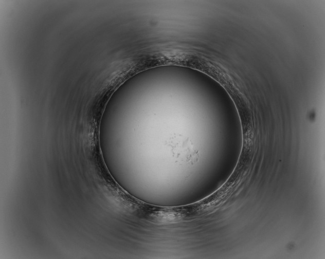 X0000100190464200806061303