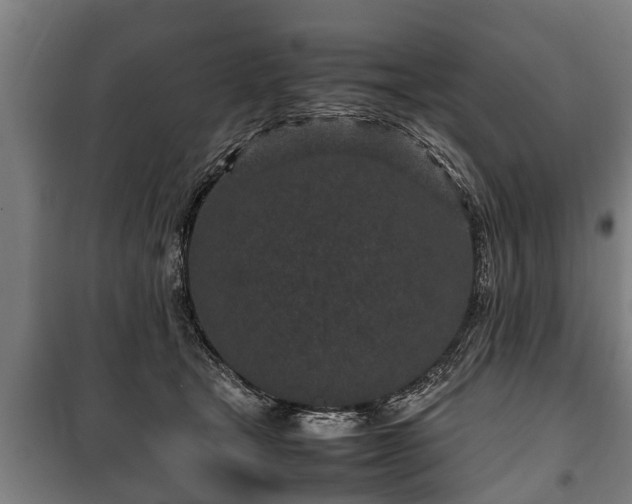 X0000100190465200806061303