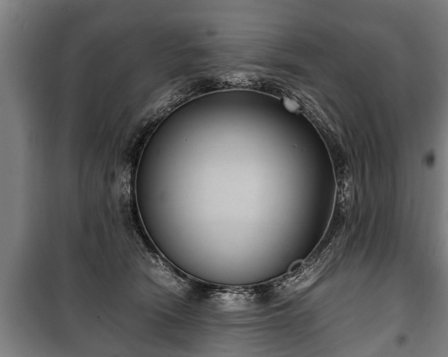 X0000100190466200806061303