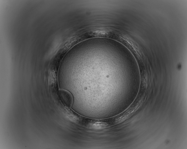 X0000100190467200806061303