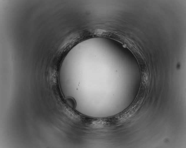 X0000100190470200806061303