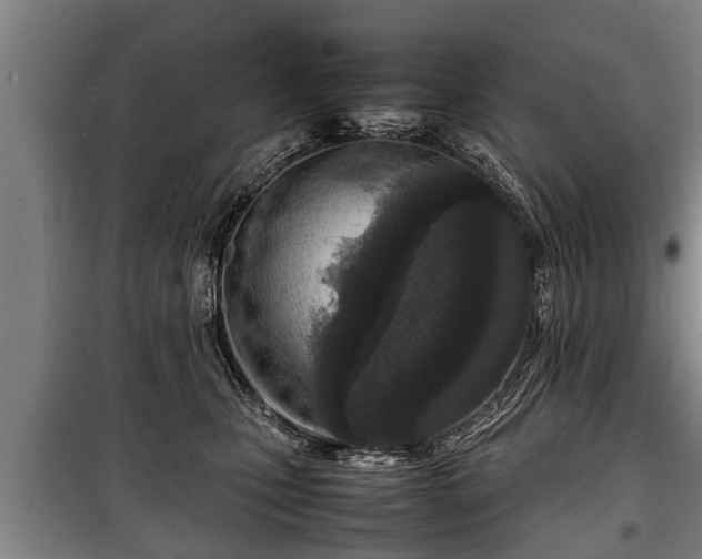 X0000100190471200806061303