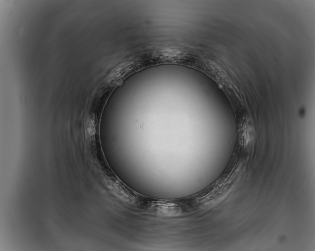 X0000100190472200806061303