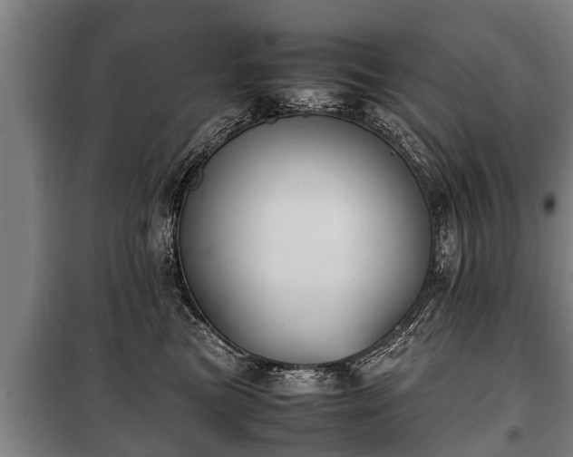 X0000100190473200806061303