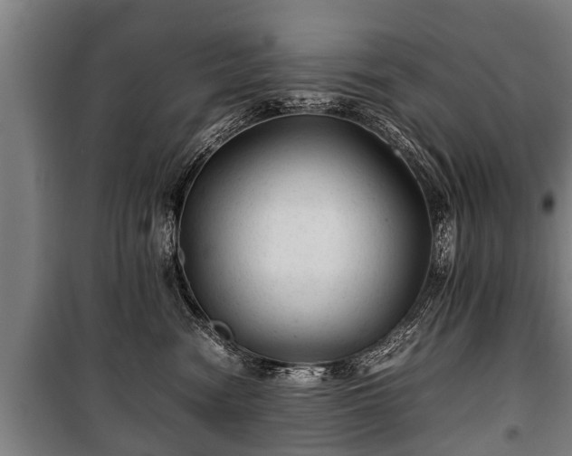 X0000100190474200806061303