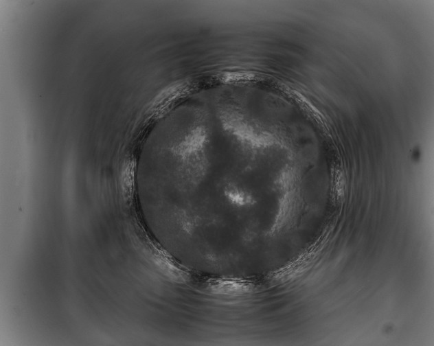 X0000100190475200806061303