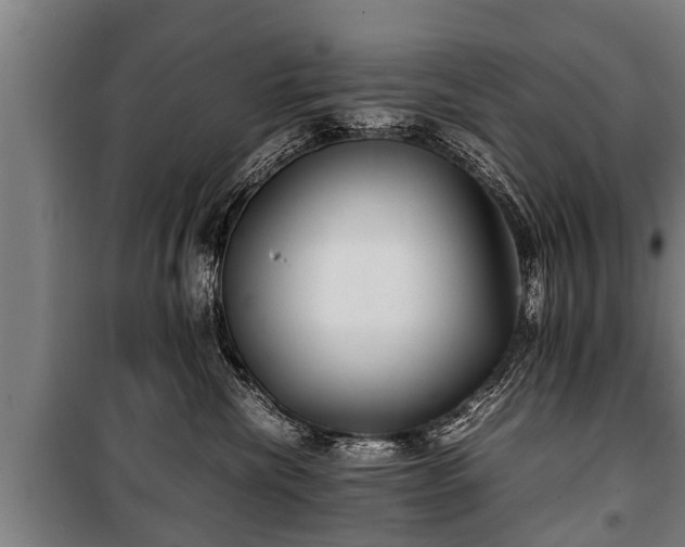 X0000100190476200806061303