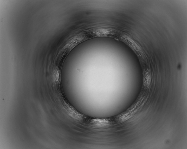 X0000100190477200806061303