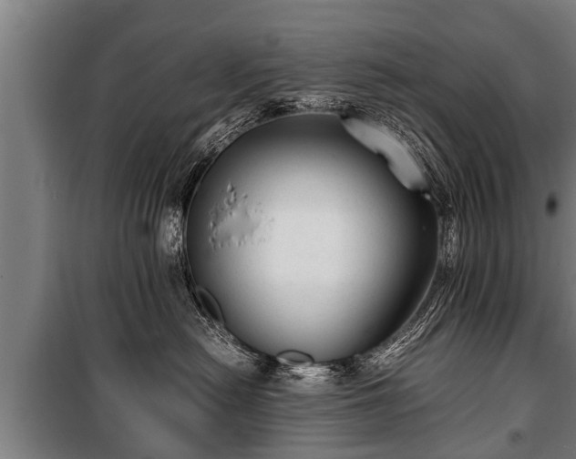 X0000100190478200806061303