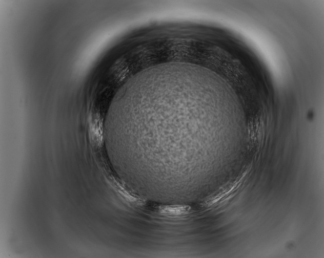 X0000100190479200806061303