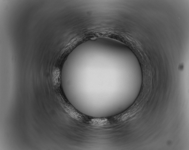 X0000100190480200806061303