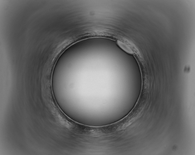 X0000100190481200806061302