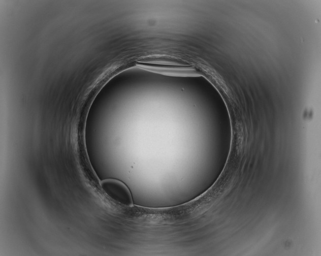 X0000100190482200806061302