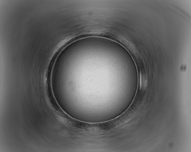 X0000100190483200806061302