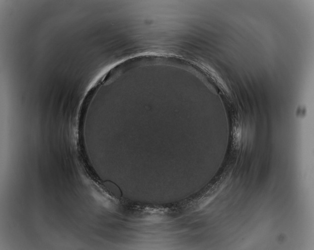 X0000100190484200806061302